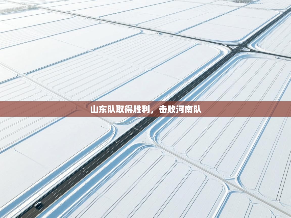 山东队取得胜利，击败河南队  第1张