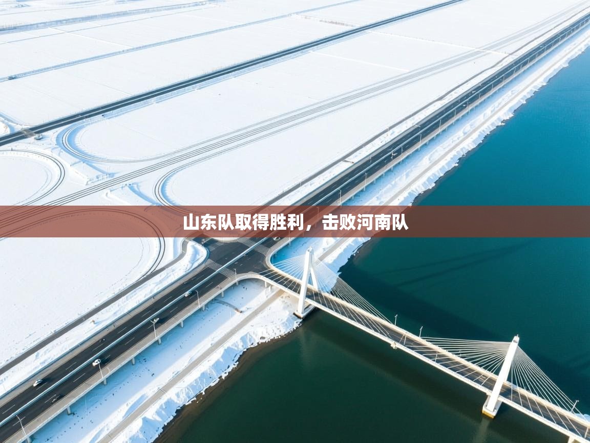 山东队取得胜利，击败河南队  第2张