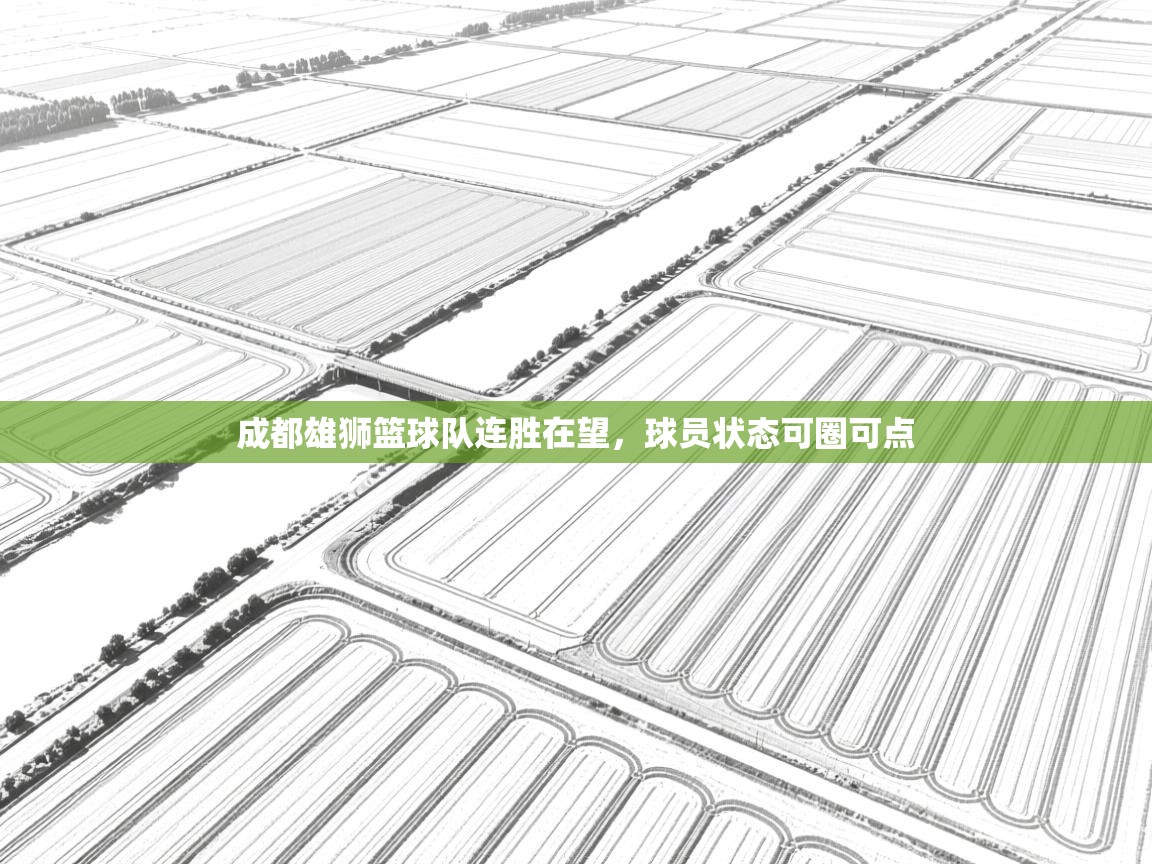 成都雄狮篮球队连胜在望，球员状态可圈可点  第2张