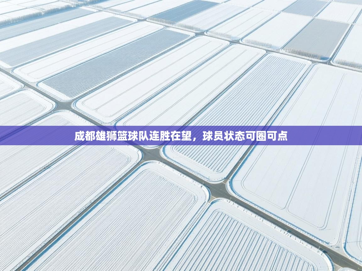 成都雄狮篮球队连胜在望，球员状态可圈可点  第1张