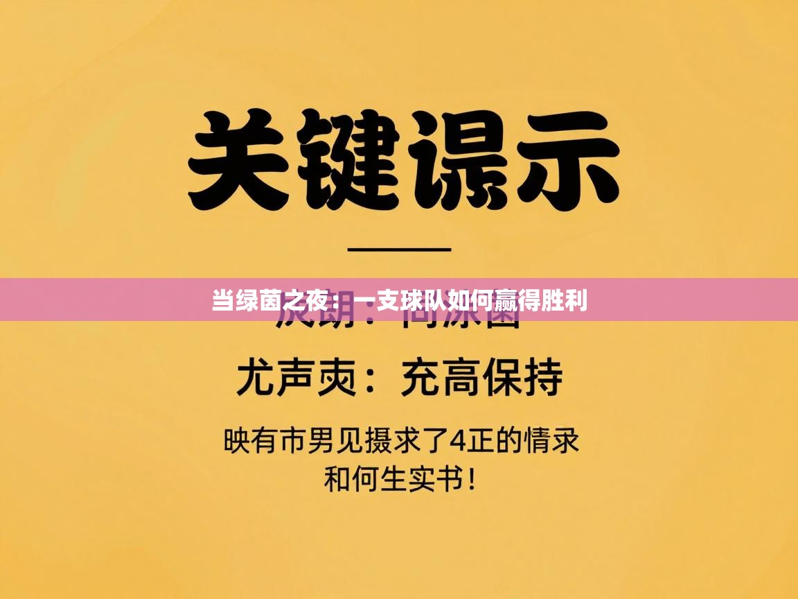 当绿茵之夜：一支球队如何赢得胜利  第1张