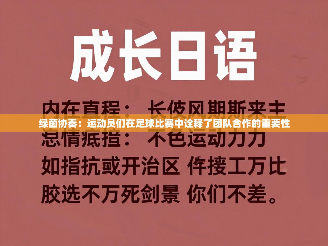 绿茵协奏：运动员们在足球比赛中诠释了团队合作的重要性  第1张