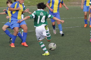 开云体育官网登录入口-澳洲球队压哨进球，晋级亚冠半决赛